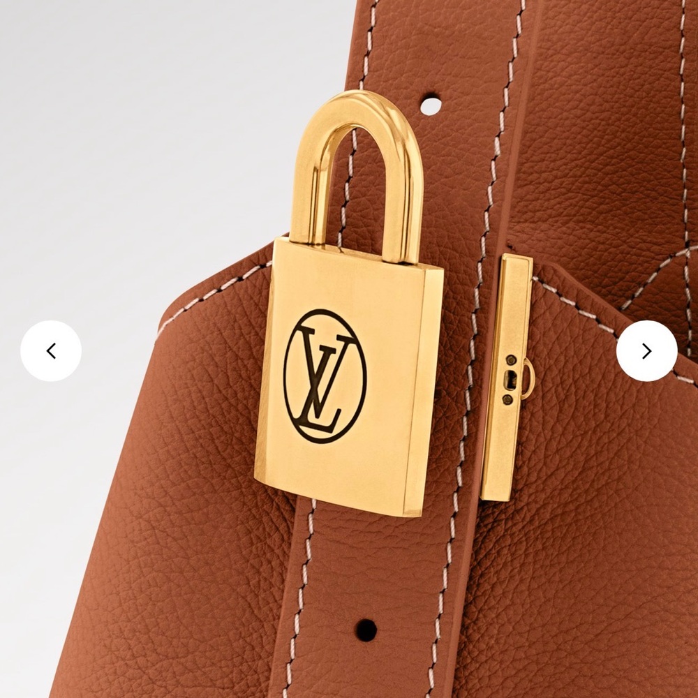 Louis Vuitton Cognac Low Key Hobo PM - Picture 6 of 14
